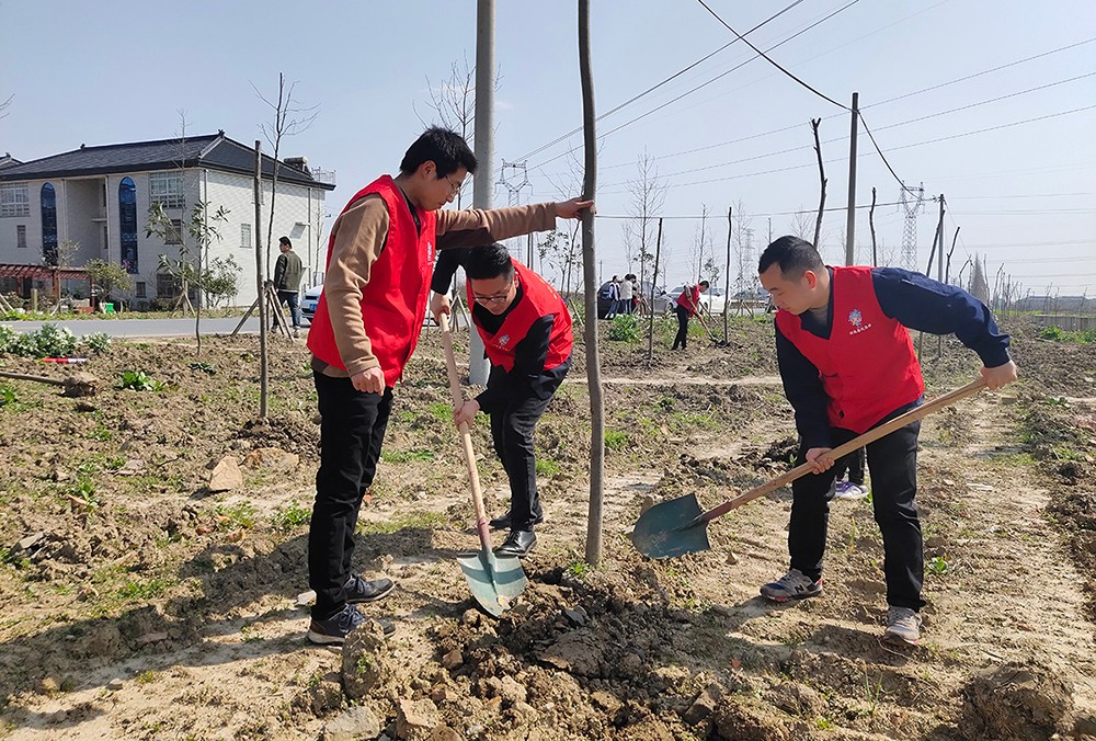 1552975053355005.jpg 01.jpg