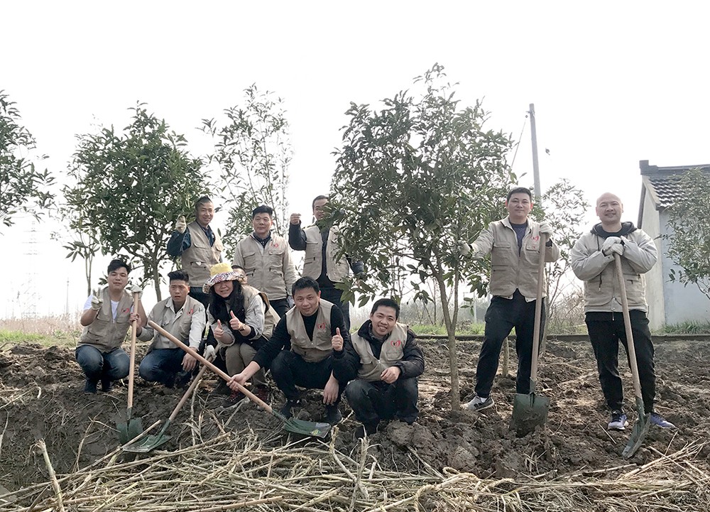 1552975084471970.jpg 03.jpg